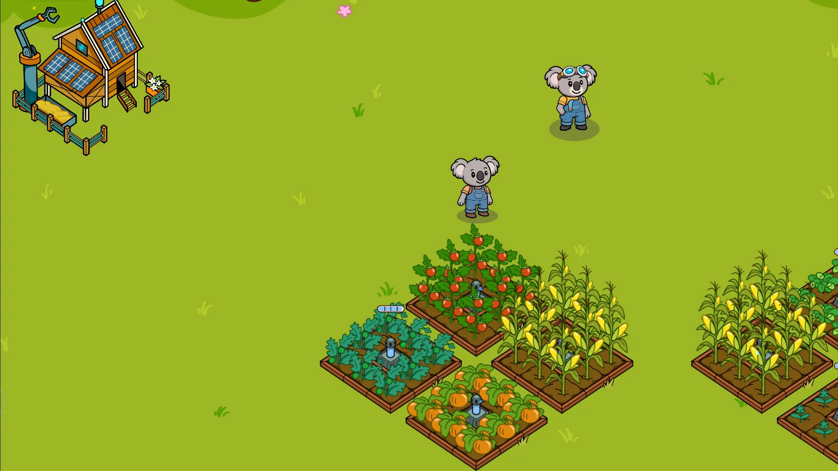 Koko's Farm Life — Koko and Zip on the farm between crop plots